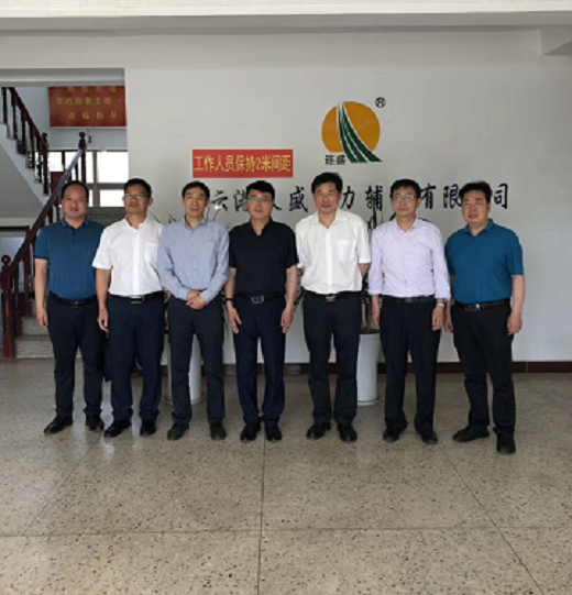 市政協(xié)副主席魯林一行到我公司調(diào)研